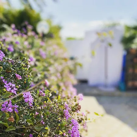 Casa Nora - Seaview Terracedhouse Sardinia Σπίτι διακοπών *